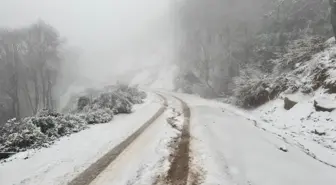 Erdek'te Kar Yağışı Etkili Oldu