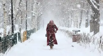 Hakkari okullar tatil mi, 12 Ocak Pazartesi Hakkari'de yarın okul yok mu (HAKKARİ VALİLİĞİ - KAR TATİLİ)?