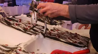 Hamsinin yokluğunu kapattı, fiyatı dibi gördü! Tezgahın en ucuzu