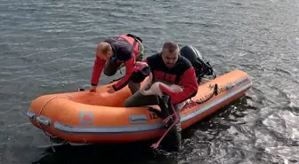 İzmir'de ayağına misina dolanan flamingo kurtarıldı