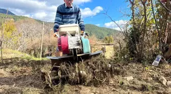 Antalya'da 82 yaşındaki yeminli mali müşavirden köy hayatına örnek proje