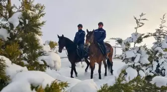 Atlı jandarma birlikleri, kaçak avcılara karşı devriye faaliyeti gerçekleştirdi