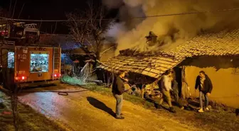 Bilecik'te tek katlı evde çıkan yangın söndürüldü