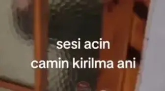 Cinnet geçiren kadın, ev arkadaşına saldırdı