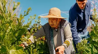 Daha uzun yaşamanıza yardımcı olabilecek kısa süreli aktiviteler