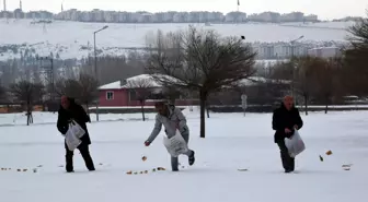 Ercişli fırıncı, sokak hayvanları ve kuşlar için doğaya yiyecek bıraktı