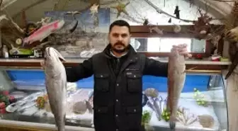 Gaziantep'te balık, kebabın tahtını sallıyor