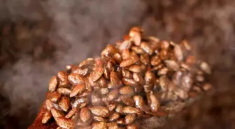 Gelenekten yeniliğe: Türk kahveli badem şekeri