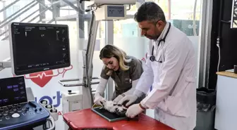 Hayvan hastaneleri 24 saat boyunca üst düzey ekipmanlarla hizmet veriyor