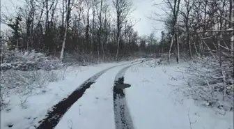 İstanbul'da kar yağışı etkili oluyor