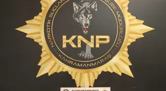 Kahramanmaraş'ta uyuşturucu operasyonunda 2 şüpheli tutuklandı