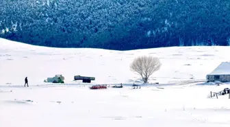 Kar yağışı beklenen Doğu Anadolu'da soğuk hava etkili oluyor