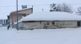 Karlıova'da 30 köy yolu kardan kapandı