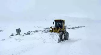 Kars'ta kar kaplanlarının 2 bin 100 rakımda zorlu mesaisi