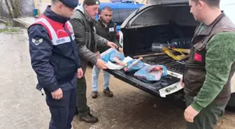 Kırklareli'de karaca avlayan kişiye 50 bin lira ceza