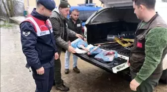 Kırklareli'de yasa dışı karaca avına ağır ceza