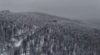 Kırklareli'nde karla kaplanan Istranca Ormanları havadan görüntülendi