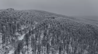 Kırklareli'nde karla kaplanan Istranca Ormanları havadan görüntülendi