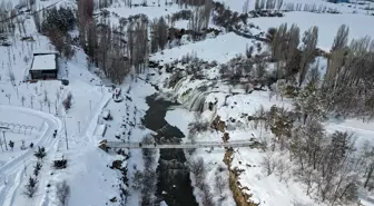 Kısmen donan Muradiye Şelalesi'nin çevresi beyaza büründü