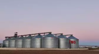 Mardin'de 9 kişinin tutuklandığı 137 bin tonluk buğday vurgununda depolar TMO'ya devredildi