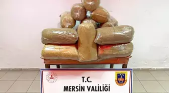 Mersin'de 100 kilo kaçak tütün ele geçirildi, 1 kişi gözaltına alındı