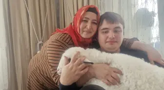 Otizmli oğlunun isteği üzerine aldıkları kuzuya evde bebek gibi bakıyorlar