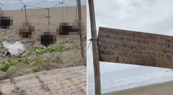 Ülkede şok etkisi yaratan görüntü: İpe asılı 5 insan kafası bulundu