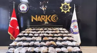 Van'da 39 kilo 340 gram skunk maddesi ele geçirildi