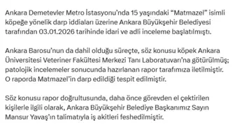 Veterinerlik fakültesi raporunda, 'Matmazel' isimli köpeğin darbedildiği tespit edildi