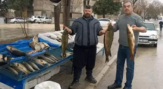 Araban'da soğuk havayla birlikte Fırat balığına talep arttı