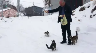 Bu köyde kışın sadece muhtar yaşıyor! Tek nedeni var