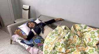 Dayak yiyen yeğenini kurtarmak isteyen kadın darp edildi