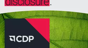 DeFacto, CDP'nin İklim Değişikliği Programında liderlik seviyesinde yer aldı