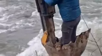 Dere yatağında mahsur kalan yavru köpek kurtarıldı