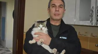 Dondurucu soğukta apartmandaki dairesini kedilere açtı