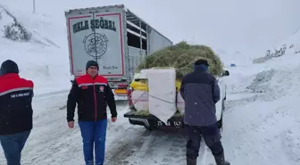 Erzurum'da ekipler, kar nedeniyle yolda mahsur kalan tırlardaki hayvanları besledi
