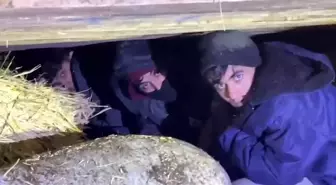 Kars'ta saman balyaları arasından kaçak göçmen çıktı: 1 tutuklama