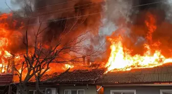 Kediler üşümesin diye yakılan soba faciaya dönüştü: İki ev küle döndü