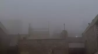 Mardin'de yoğun sis; görüş mesafesi 10 metreye düştü