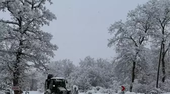 Samsun'da kar etkili oluyor