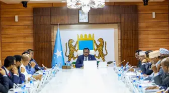Somali, BAE ile güvenlik ve savunma alanındaki tüm anlaşmaları feshetti