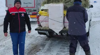 Tipide mahsur kalan TIR'daki hayvanlara saman ve ot götürüldü