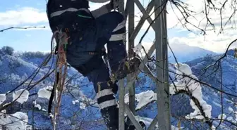 Giresun'da kesintisiz enerji için kar kış demeden çalışıyorlar