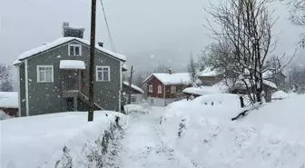 Kastamonu'da kar 167 köy yolunu ulaşıma kapattı