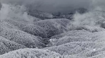 Sakarya Çam Dağı'nda oluşan kış manzaraları havadan görüntülendi