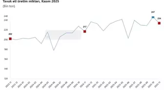 TÜİK: Tavuk eti, yumurta ve içme sütü üretim miktarları azaldı