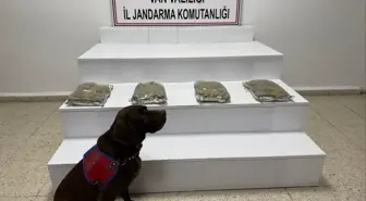 Van kırsalında 5 kilo kubar esrar ele geçirildi