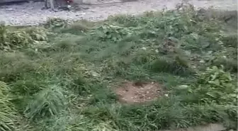 Arnavutköy'de şantiyede yangın paniği: Konteynerler alev alev yandı