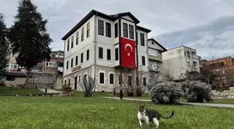 Fındığın bahçeden sofraya yolculuğunu anlatan müze yaklaşık 60 bin ziyaretçiyi ağırladı