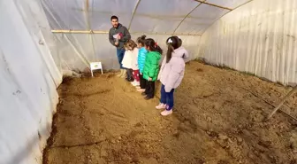 Keban'da öğrenciler serada tohumları toprakla buluşturdu